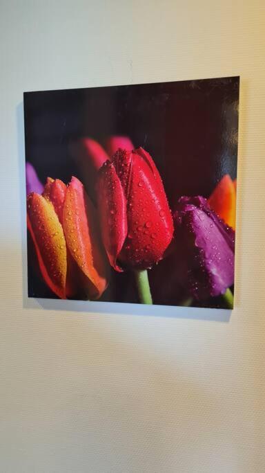 Oude Meesters Bolsward Bagian luar foto